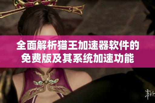 全面解析猫王加速器软件的免费版及其系统加速功能