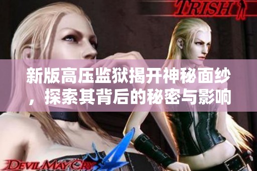新版高压监狱揭开神秘面纱，探索其背后的秘密与影响