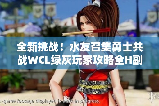 全新挑战！水友召集勇士共战WCL绿灰玩家攻略全H副本