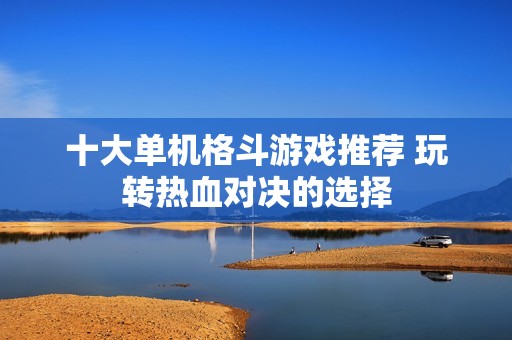 十大单机格斗游戏推荐 玩转热血对决的选择