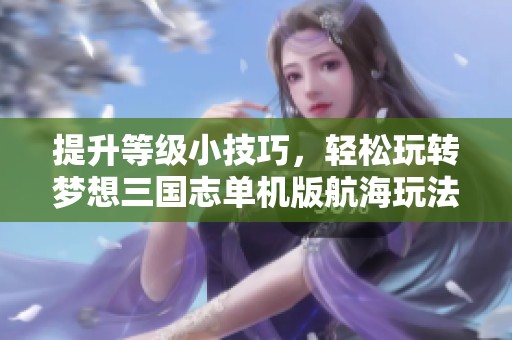提升等级小技巧，轻松玩转梦想三国志单机版航海玩法探秘