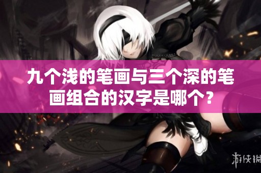 九个浅的笔画与三个深的笔画组合的汉字是哪个？