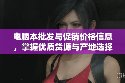 电脑本批发与促销价格信息，掌握优质货源与产地选择技巧