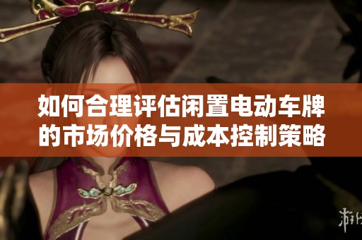 如何合理评估闲置电动车牌的市场价格与成本控制策略