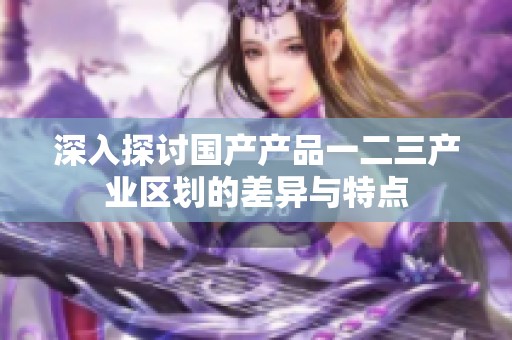 深入探讨国产产品一二三产业区划的差异与特点
