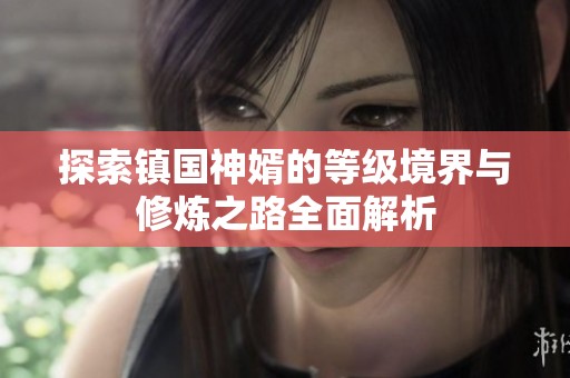 探索镇国神婿的等级境界与修炼之路全面解析