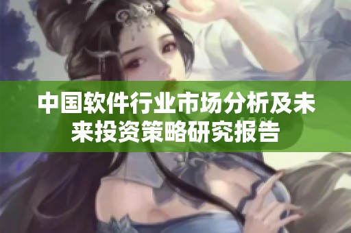 中国软件行业市场分析及未来投资策略研究报告