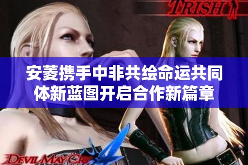 安菱携手中非共绘命运共同体新蓝图开启合作新篇章
