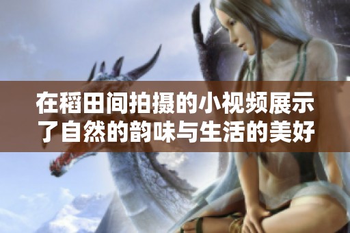 在稻田间拍摄的小视频展示了自然的韵味与生活的美好