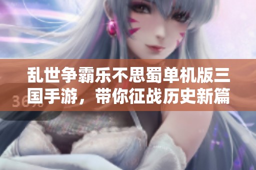 乱世争霸乐不思蜀单机版三国手游，带你征战历史新篇章