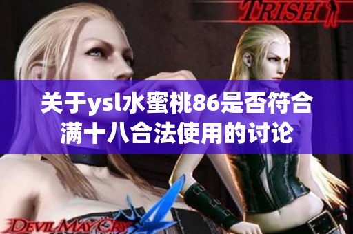 关于ysl水蜜桃86是否符合满十八合法使用的讨论