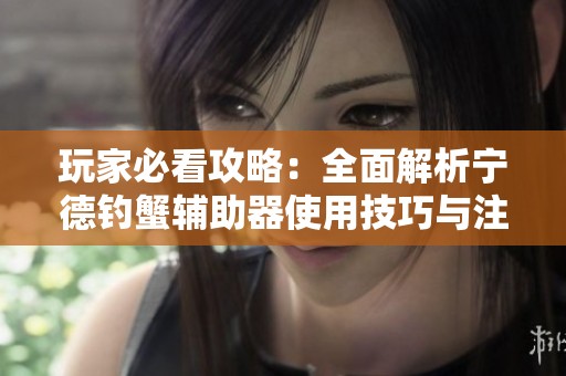 玩家必看攻略：全面解析宁德钓蟹辅助器使用技巧与注意事项