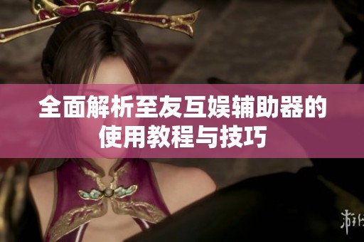全面解析至友互娱辅助器的使用教程与技巧