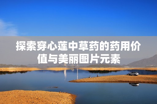 探索穿心莲中草药的药用价值与美丽图片元素