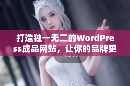 打造独一无二的WordPress成品网站，让你的品牌更出色