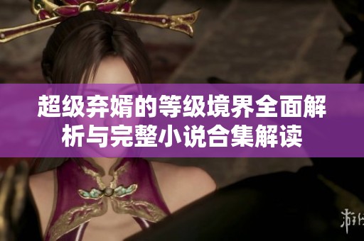 超级弃婿的等级境界全面解析与完整小说合集解读