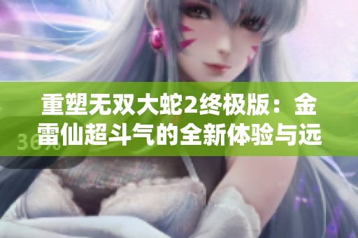 重塑无双大蛇2终极版：金雷仙超斗气的全新体验与远吕智精彩重生