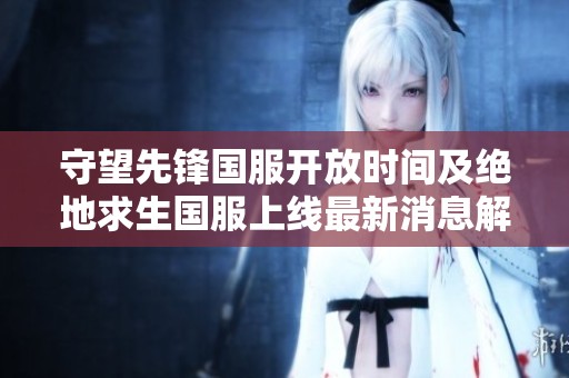 守望先锋国服开放时间及绝地求生国服上线最新消息解析