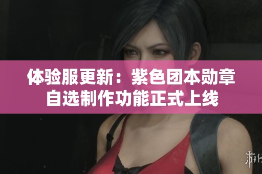 体验服更新：紫色团本勋章自选制作功能正式上线