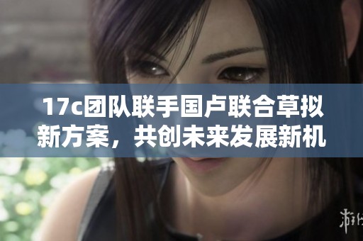17c团队联手国卢联合草拟新方案，共创未来发展新机遇