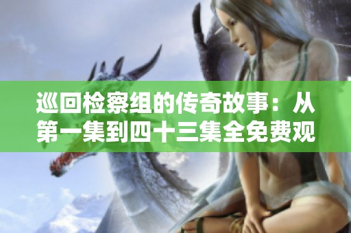 巡回检察组的传奇故事：从第一集到四十三集全免费观看