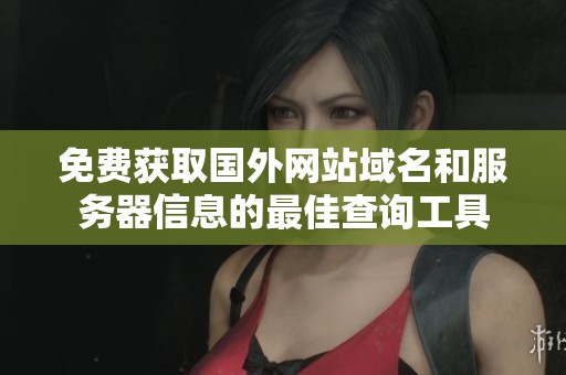 免费获取国外网站域名和服务器信息的最佳查询工具