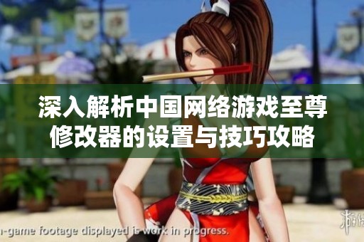 深入解析中国网络游戏至尊修改器的设置与技巧攻略