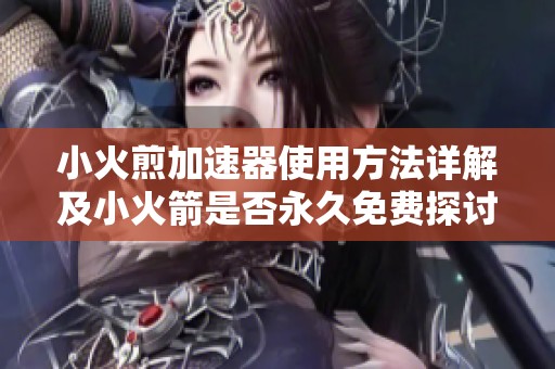 小火煎加速器使用方法详解及小火箭是否永久免费探讨