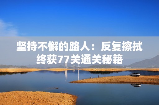 坚持不懈的路人：反复擦拭终获77关通关秘籍