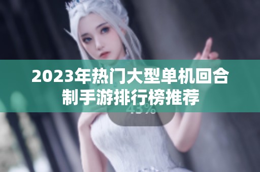 2023年热门大型单机回合制手游排行榜推荐