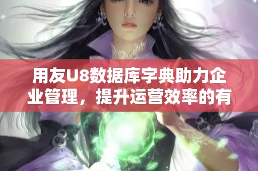 用友U8数据库字典助力企业管理，提升运营效率的有效工具