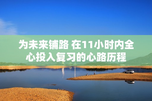 为未来铺路 在11小时内全心投入复习的心路历程