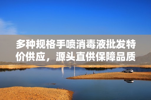 多种规格手喷消毒液批发特价供应，源头直供保障品质