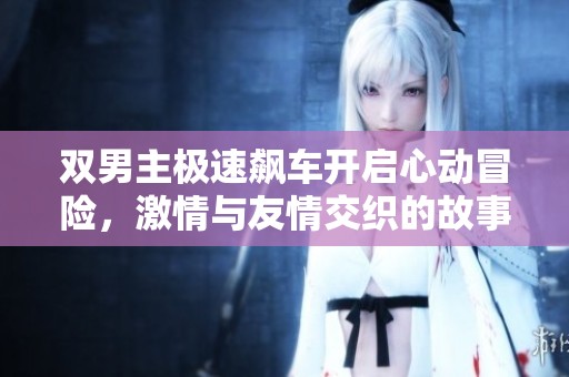双男主极速飙车开启心动冒险，激情与友情交织的故事