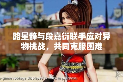 路星辞与段嘉衍联手应对异物挑战，共同克服困难