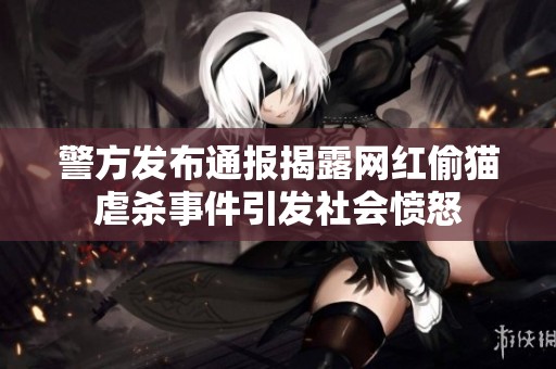 警方发布通报揭露网红偷猫虐杀事件引发社会愤怒