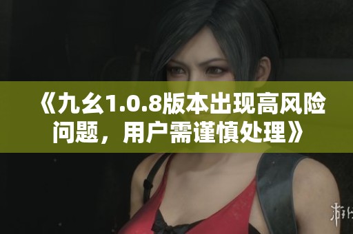 《九幺1.0.8版本出现高风险问题，用户需谨慎处理》