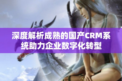深度解析成熟的国产CRM系统助力企业数字化转型