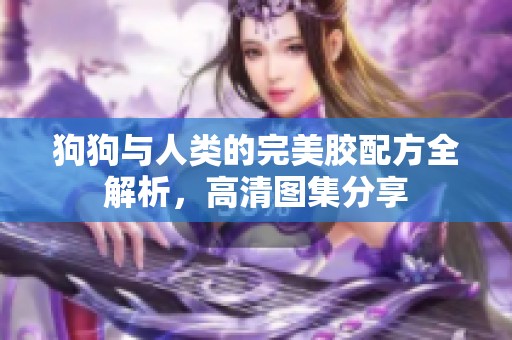 狗狗与人类的完美胶配方全解析，高清图集分享