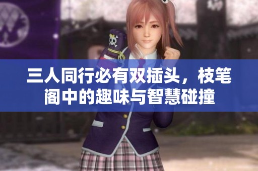 三人同行必有双插头，枝笔阁中的趣味与智慧碰撞
