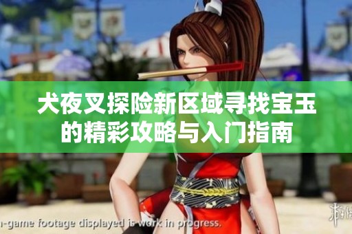 犬夜叉探险新区域寻找宝玉的精彩攻略与入门指南