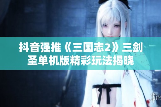 抖音强推《三国志2》三剑圣单机版精彩玩法揭晓