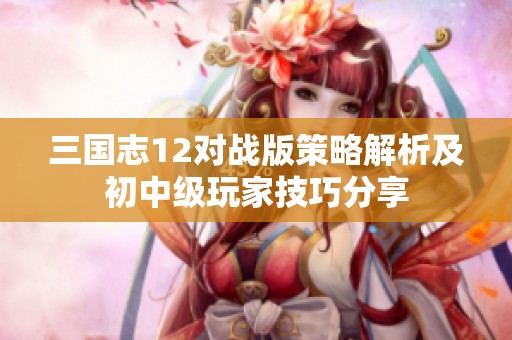 三国志12对战版策略解析及初中级玩家技巧分享