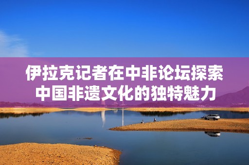 伊拉克记者在中非论坛探索中国非遗文化的独特魅力