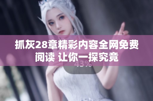 抓灰28章精彩内容全网免费阅读 让你一探究竟