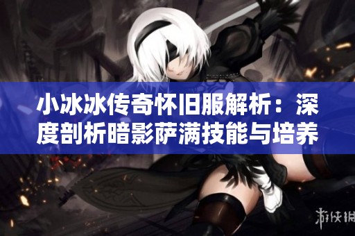 小冰冰传奇怀旧服解析：深度剖析暗影萨满技能与培养性价比探讨