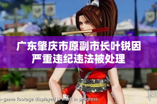 广东肇庆市原副市长叶锐因严重违纪违法被处理