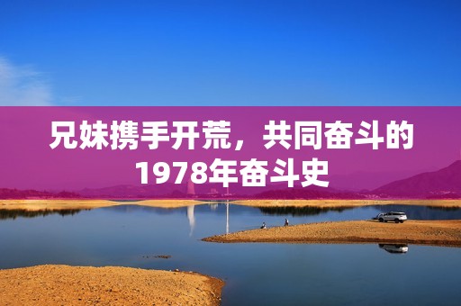 兄妹携手开荒，共同奋斗的1978年奋斗史