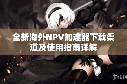 全新海外NPV加速器下载渠道及使用指南详解