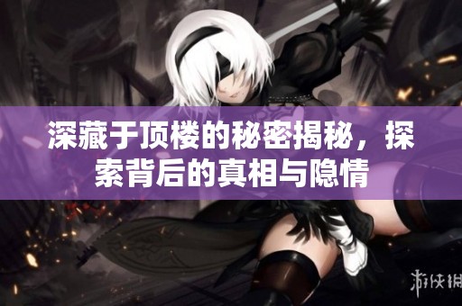 深藏于顶楼的秘密揭秘，探索背后的真相与隐情